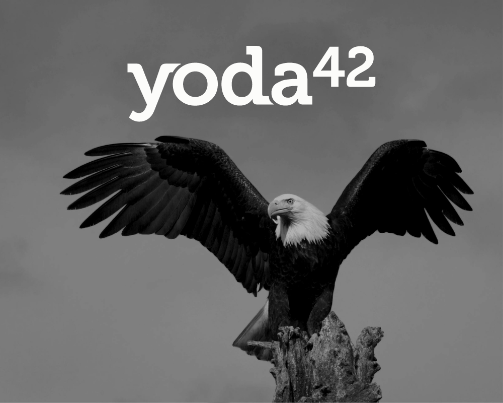 yoda42 Agile Beratung